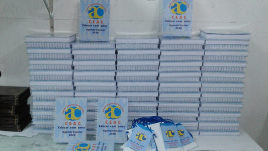 10 Agendas 2025 ou permanente capa dura