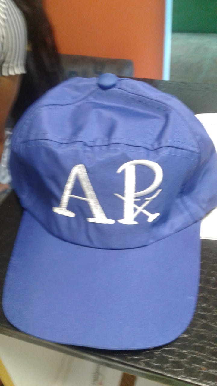 10 Bonés Bordado com sua logo