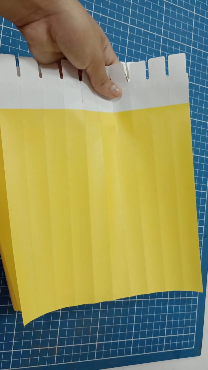 1000 Pulseiras de Identificação sem impressao
